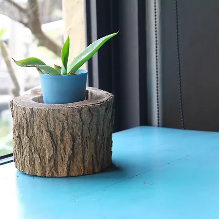 Kwatera prywatna West Old House *