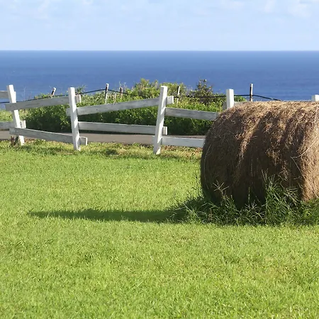 Kwatera prywatna West Old House Kenting